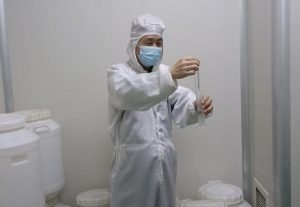 在传承创新中寻找尊龙z6中国“匠心”  ——记江西省劳动圭表杨柳青