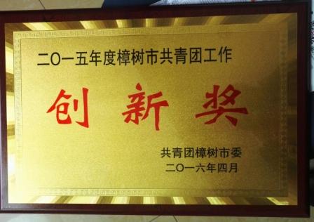 集团团委获2015年度樟树市共青团工作创新奖.jpg