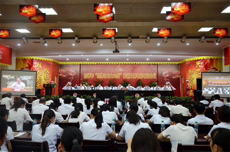 尊龙z6中国召开2017年“品牌合力大会战”营销大赛电视电话会议 (1).jpg